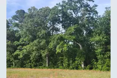 0 Broxton Bridge Road, Bamberg, SC 29003 - Photo 2