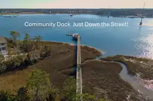 349 Blowing Fresh Dr, Charleston, SC 29492 - Photo 54