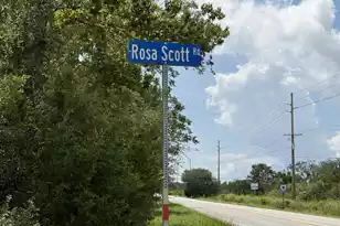8176 Rosa Scott Rd, Edisto Island, SC 29438 - Photo 68