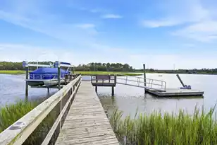 8176 Rosa Scott Rd, Edisto Island, SC 29438 - Photo 66