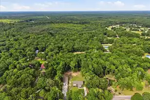 3033 Princess Pond Rd, Summerton, SC 29148 - Photo 30