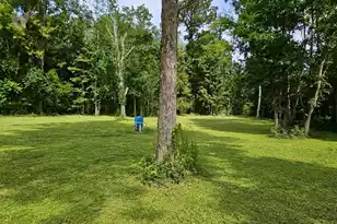692 Gardens Gate Rd, Eutawville, SC 29048 - Photo 12