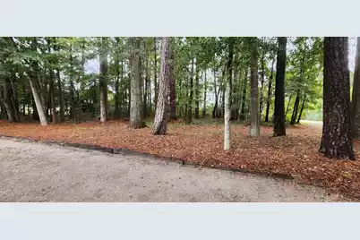 115 Josie Drive, Walterboro, SC 29488 - Photo 8