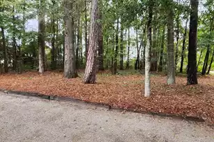 115 Josie Dr, Walterboro, SC 29488 - Photo 8