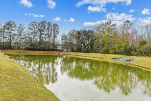 348 Drayton Pl Dr, Moncks Corner, SC 29461 - Photo 48