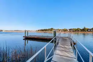 2597 John Boone Ct, Mount Pleasant, SC 29466 - Photo 76