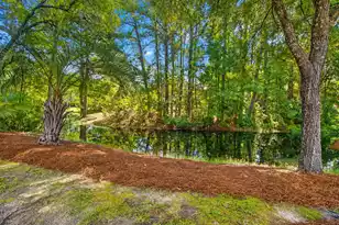 2597 John Boone Ct, Mount Pleasant, SC 29466 - Photo 56