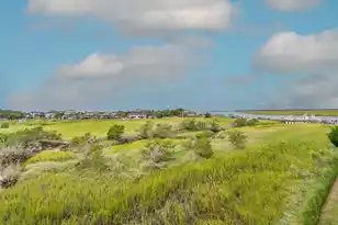 3701 Docksite Road, Edisto Island, SC 29438 - Photo 18