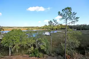4142 Ten Shillings Way, Ravenel, SC 29470 - Photo 82