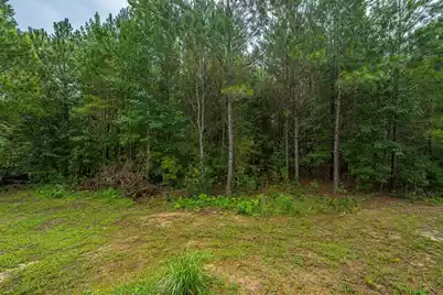 1064 Van Dyke Road, Cottageville, SC 29435 - Photo 60