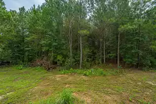 1064 Van Dyke Rd, Cottageville, SC 29435 - Photo 60