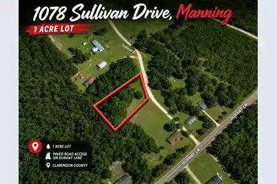 1078 Sullivan Drive, Manning, SC 29102 - Photo 2