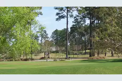 297 Renau Boulevard, Summerville, SC 29483 - Photo 20