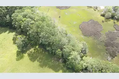 4503 Chisolm Road #Lot B, Johns Island, SC 29455 - Photo 18