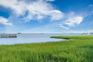 175 Concord St #101, Charleston, SC 29401 - Photo 56