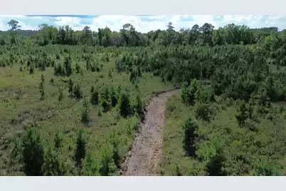 1 Bethel Forest Road, Rowesville, SC 29133 - Photo 6