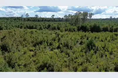 3 Bethel Forest Road, Rowesville, SC 29133 - Photo 18
