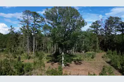3 Bethel Forest Road, Rowesville, SC 29133 - Photo 24