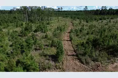 3 Bethel Forest Road, Rowesville, SC 29133 - Photo 14