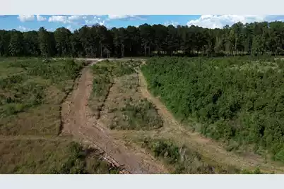 3 Bethel Forest Road, Rowesville, SC 29133 - Photo 26