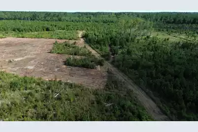 3 Bethel Forest Road, Rowesville, SC 29133 - Photo 32