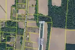 0 Murrell Block Dr, Pineville, SC 29468 - Photo 1
