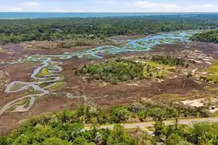8246 Oyster Factory Rd, Edisto Island, SC 29438 - Photo 30