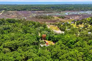 8246 Oyster Factory Rd, Edisto Island, SC 29438 - Photo 52