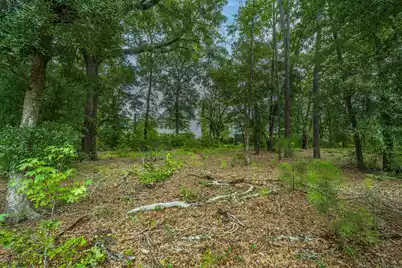 7074 Pumpkinseed Drive, Johns Island, SC 29455 - Photo 52