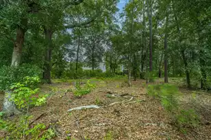 7074 Pumpkinseed Dr, Johns Island, SC 29455 - Photo 52