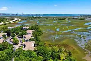 700 Daniel Ellis Dr #Apt 11306, Charleston, SC 29412 - Photo 36