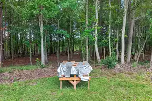 1331 Brewington Road N, Manning, SC 29102 - Photo 54