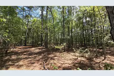 1331 Brewington Road N, Manning, SC 29102 - Photo 60