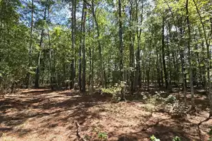 1331 Brewington Road N, Manning, SC 29102 - Photo 60