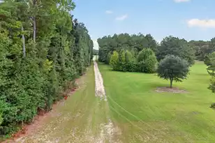 1331 Brewington Road N, Manning, SC 29102 - Photo 12