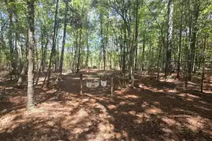 1331 Brewington Road N, Manning, SC 29102 - Photo 56