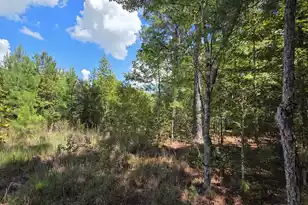 1331 Brewington Road N, Manning, SC 29102 - Photo 58