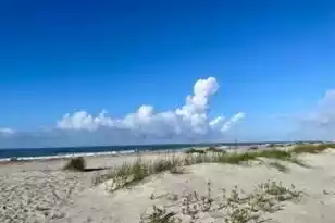7600 Palmetto Dr #C 315, Isle Of Palms, SC 29451 - Photo 6