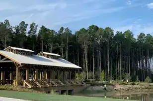 1000 Razor Clam Way, Summerville, SC 29485 - Photo 44