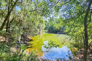 8780 Palmetto Rd, Edisto Island, SC 29438 - Photo 8
