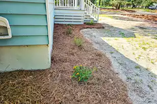 8780 Palmetto Rd, Edisto Island, SC 29438 - Photo 110