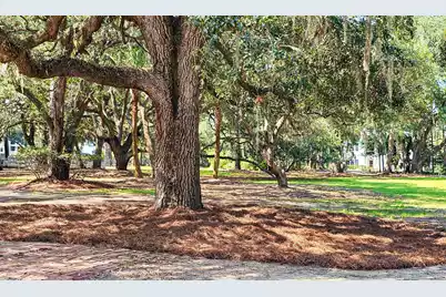 8780 Palmetto Road, Edisto Island, SC 29438 - Photo 112