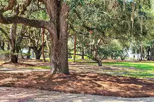8780 Palmetto Rd, Edisto Island, SC 29438 - Photo 112