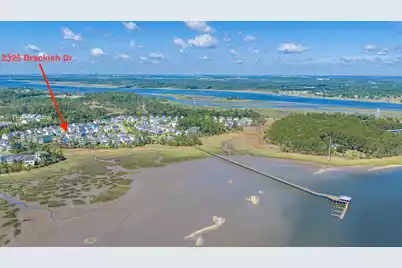 2325 Brackish Drive, Mount Pleasant, SC 29466 - Photo 48