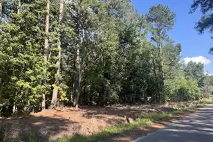 0 Fraser St, Walterboro, SC 29488 - Photo 1