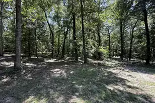 264 Michelle St, Eutawville, SC 29048 - Photo 10