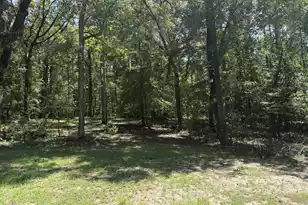 264 Michelle St, Eutawville, SC 29048 - Photo 2