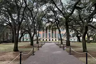 151 Calhoun St, Charleston, SC 29401 - Photo 28