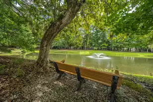 403 Elgin Ct S, Charleston, SC 29414 - Photo 36