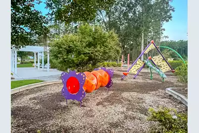 357 Garden Lily Lane, Summerville, SC 29485 - Photo 44